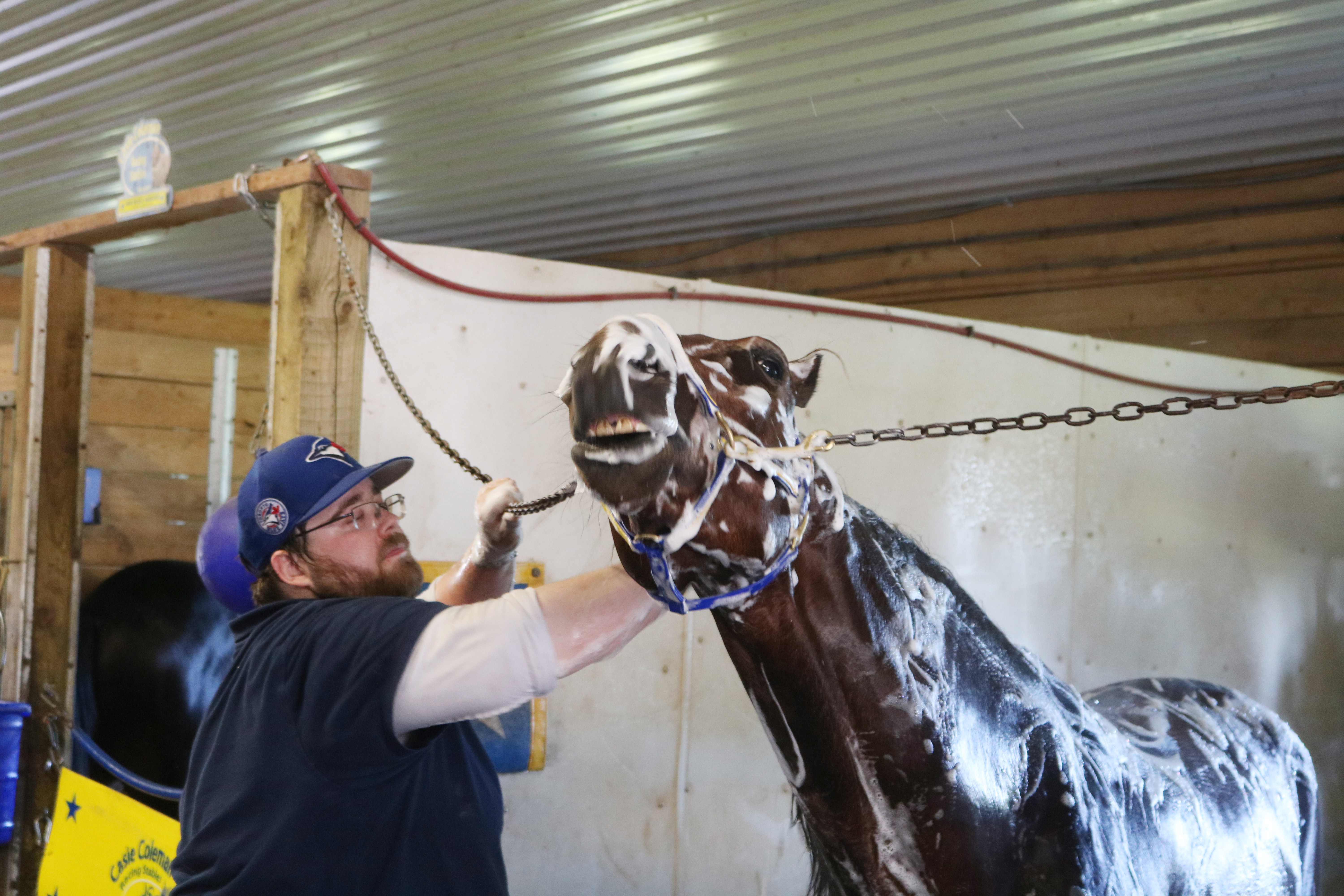 Canadian Harness Racing Community Recognizes Caretakers